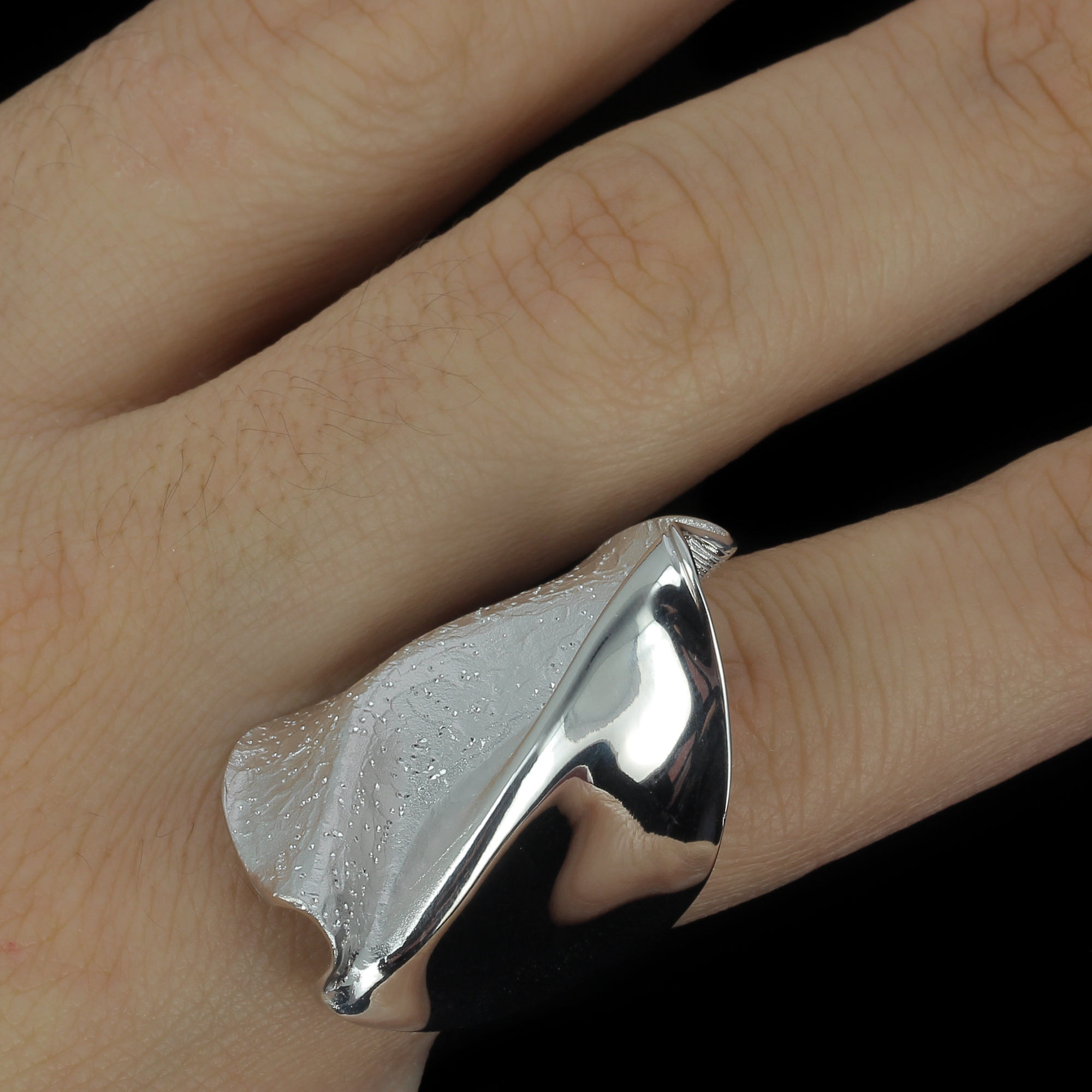 Brilliant silver ring, matte and polished / diamond-