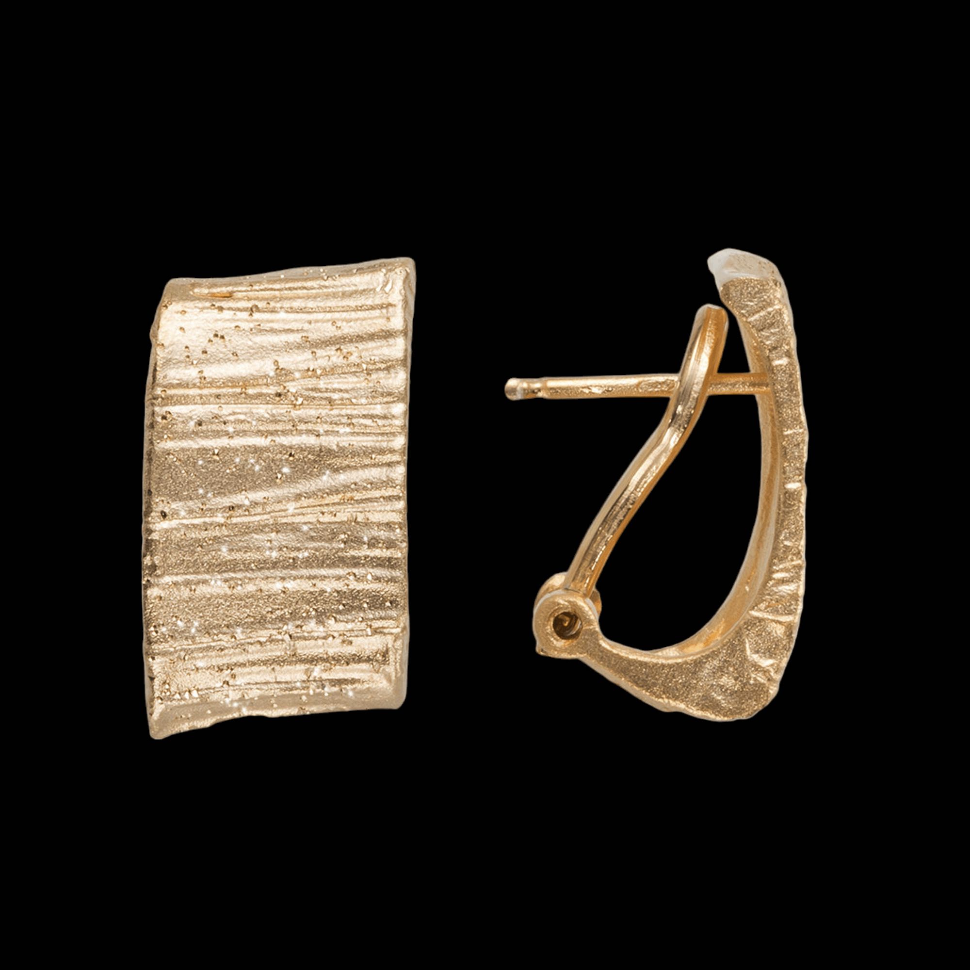 Rectangular and beautiful gilded earrings