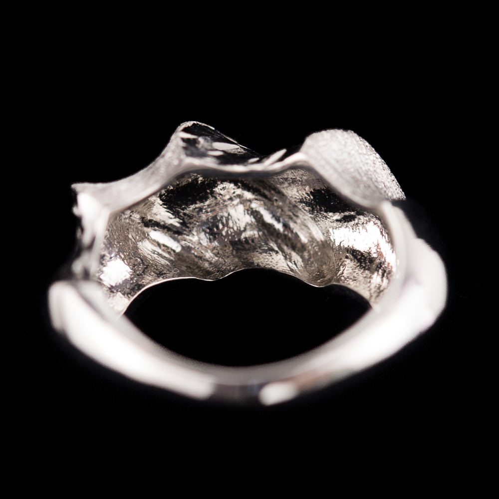 CLE1218004 - Verfijnde ring van gepolijst en mat zilver
