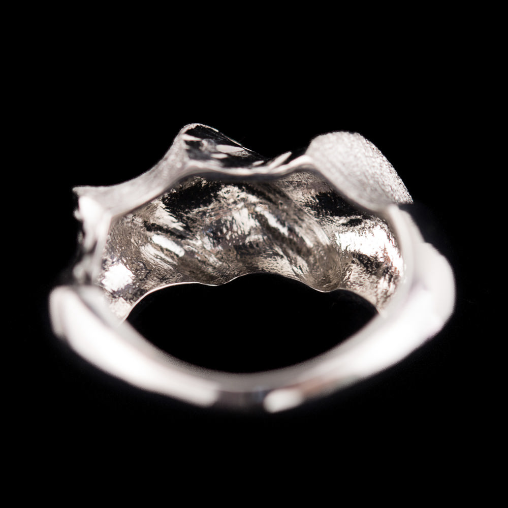 Refined ring of matt and polished silver