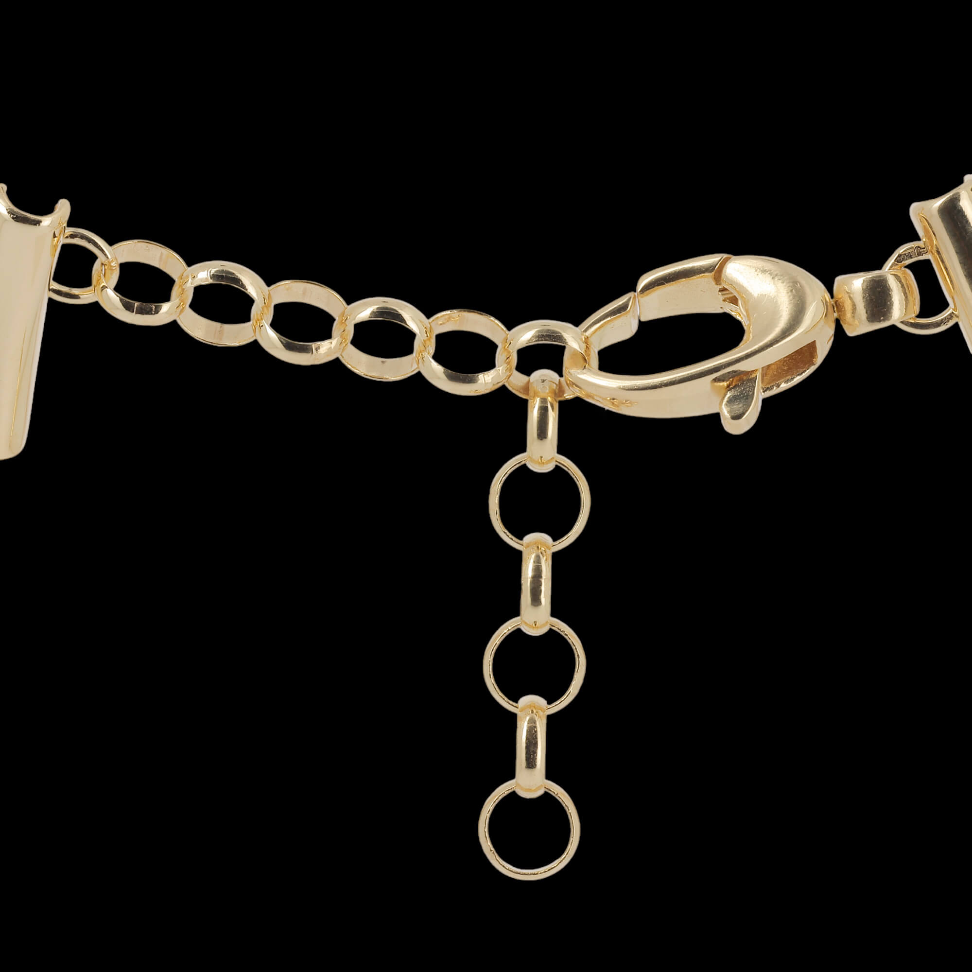 Gold and polished rod chain