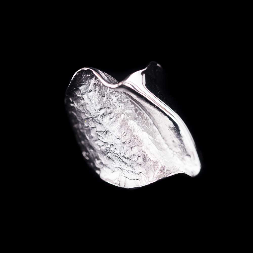 PRE1118014 - Chique zilveren ring, mat en gepolijst/ smallere versie