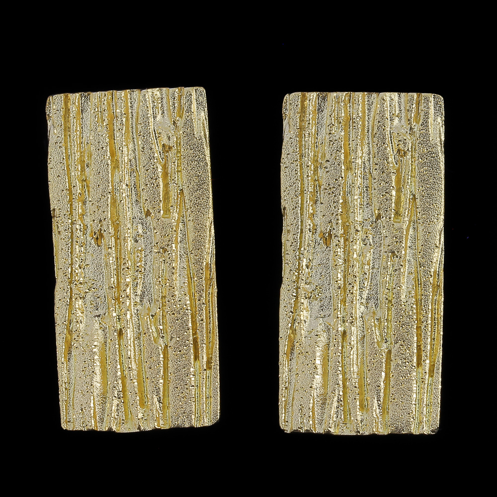 Plated rectangular and dazzling earrings