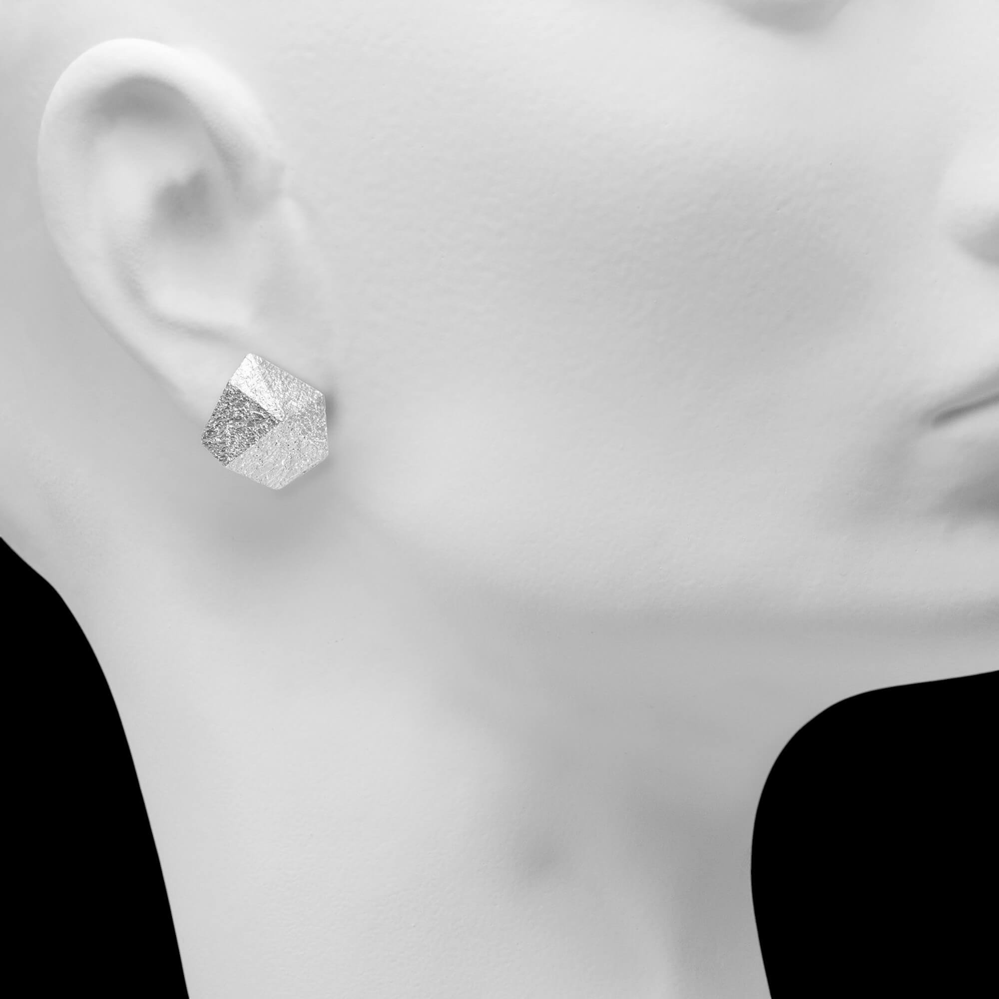  Silver Earrings with an Abstract Stone Look