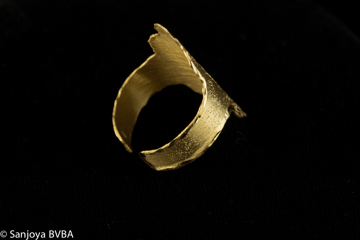 SC0114007 - Vergulde puntige ring