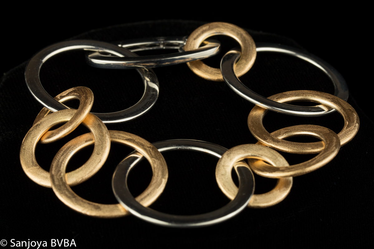 Silver and gold bracelet with round links