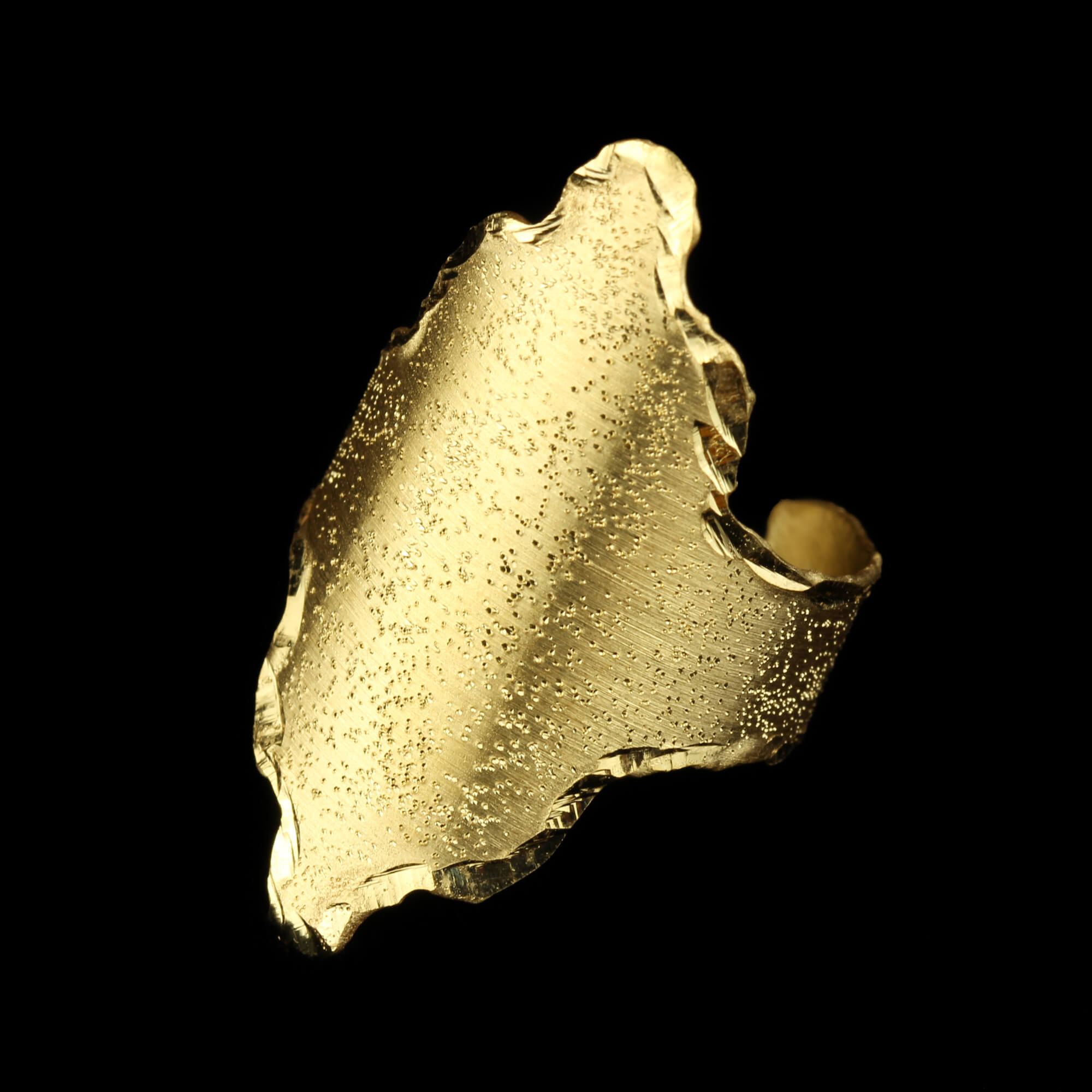 SC0114007 - Vergulde puntige ring