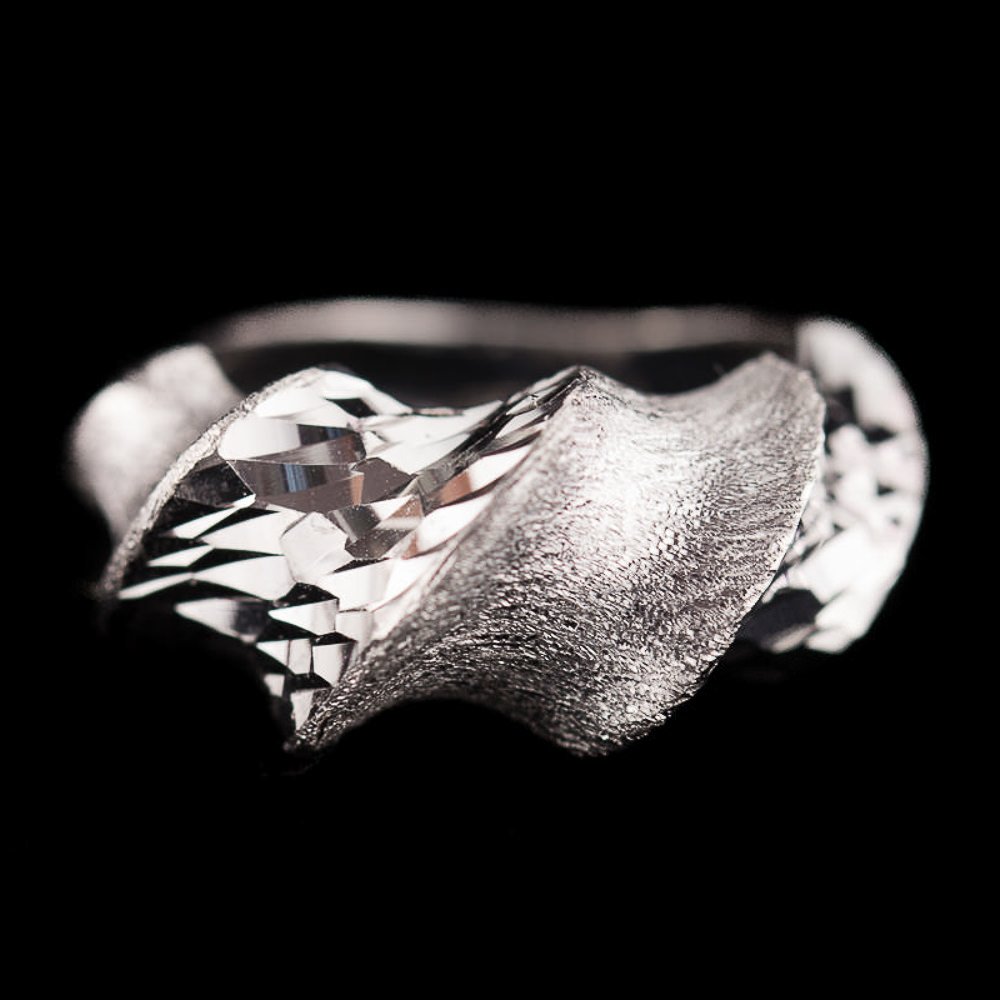 CLE1218004 - Verfijnde ring van gepolijst en mat zilver